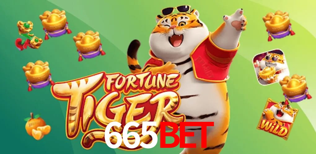 Experiência VIP 665BET